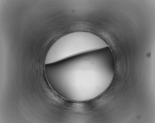 X0000090710457200707200955
