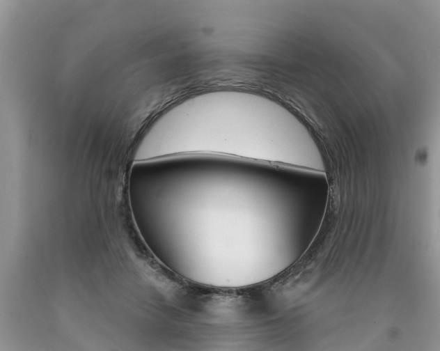 X0000090710458200707200955