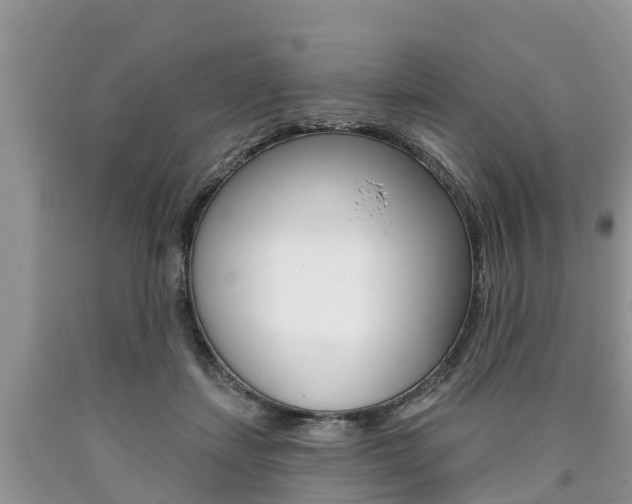 X0000090710459200707200955