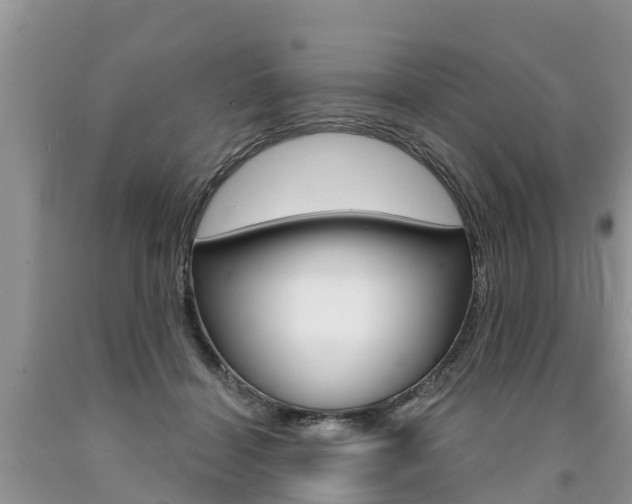 X0000090710460200707200955