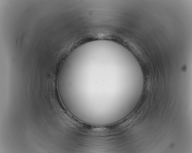 X0000090710461200707200955