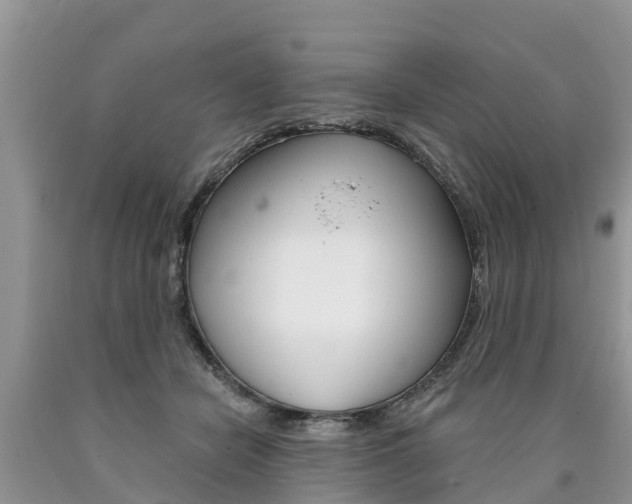 X0000090710462200707200955