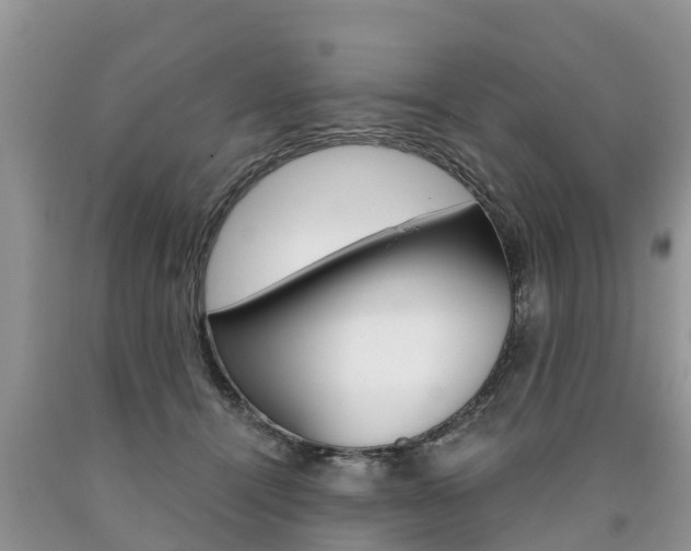X0000090710464200707200955