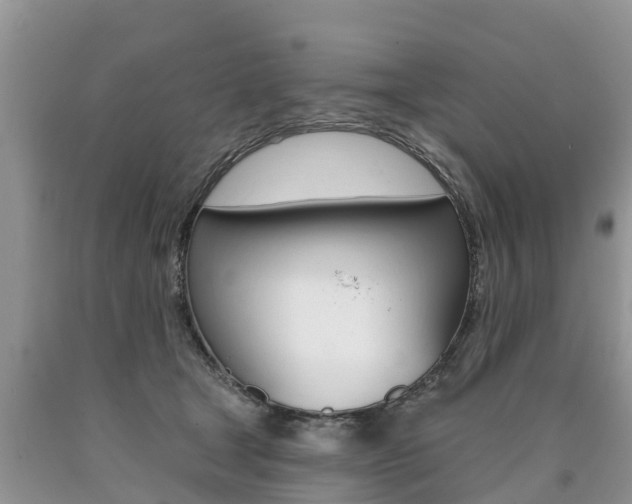 X0000090710465200707200955