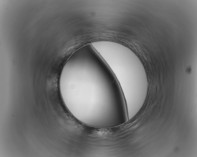 X0000090710466200707200955