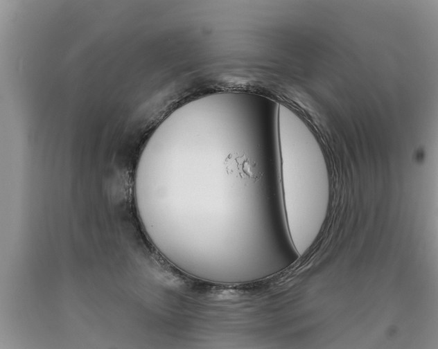 X0000090710467200707200955