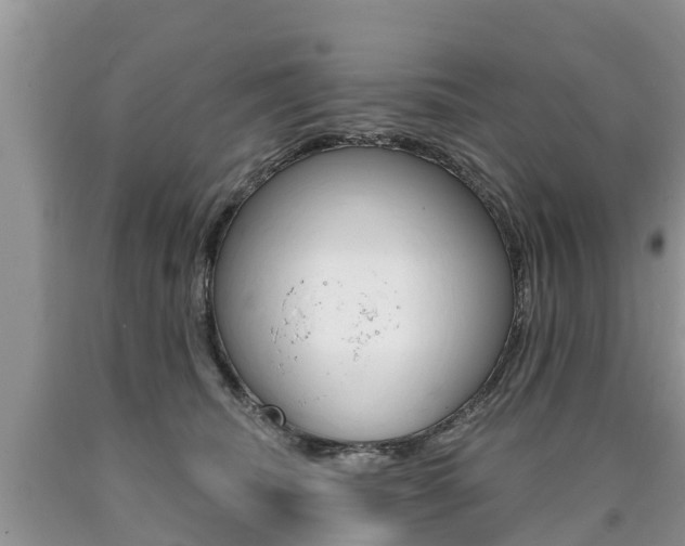 X0000090710468200707200955