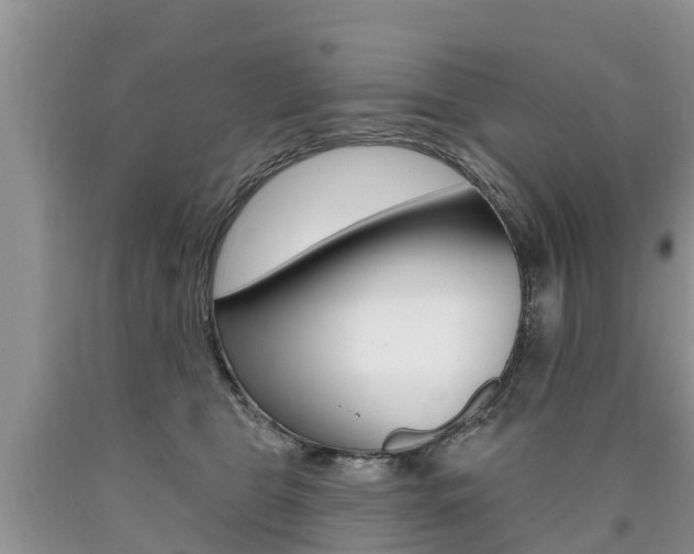 X0000090710469200707200955