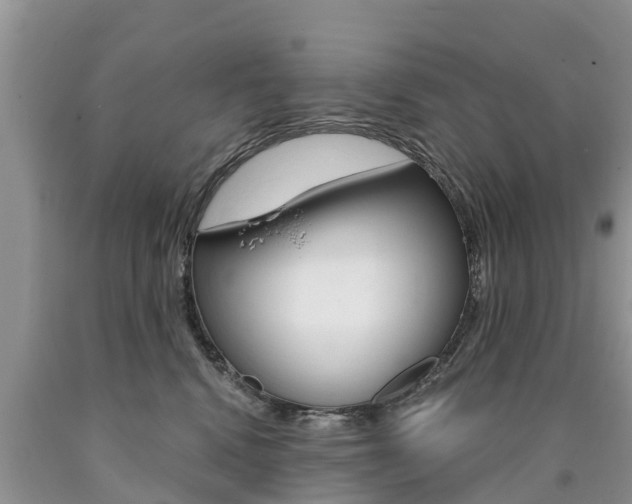 X0000090710472200707200955