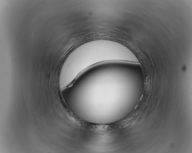 X0000090710474200707200955