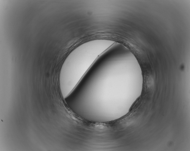 X0000090710475200707200955