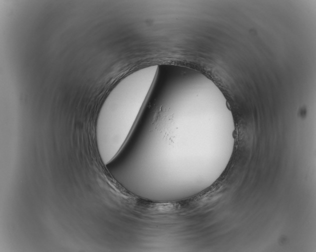 X0000090710479200707200955