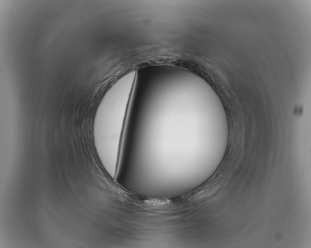 X0000090710480200707200955