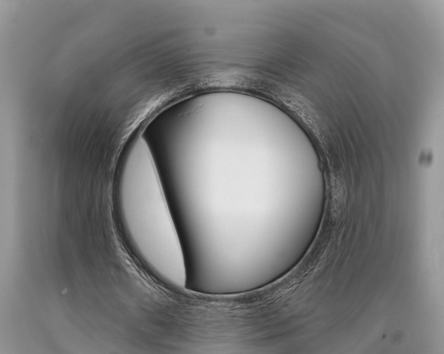 X0000090710482200707200955