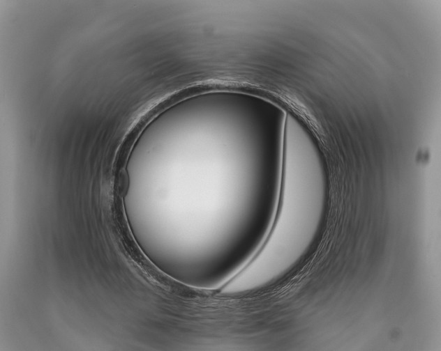 X0000090710484200707200955