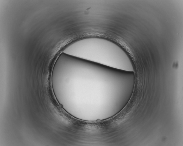 X0000090710490200707200954