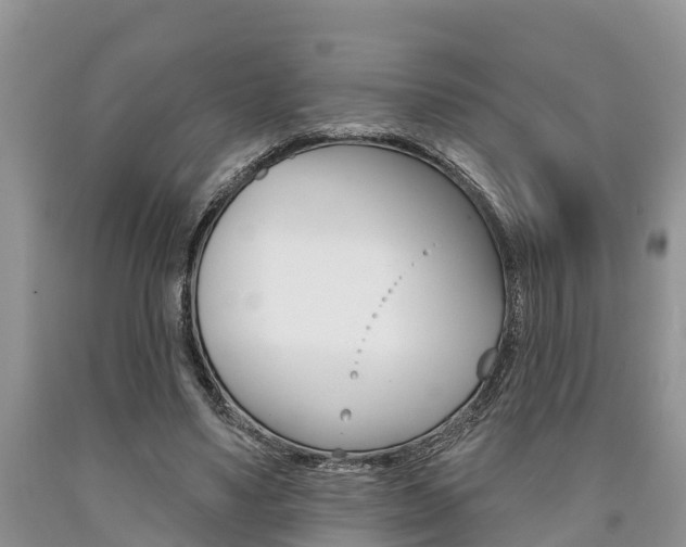 X0000090710491200707200954