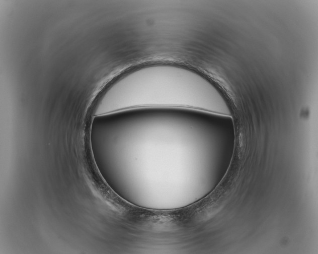 X0000090710492200707200954