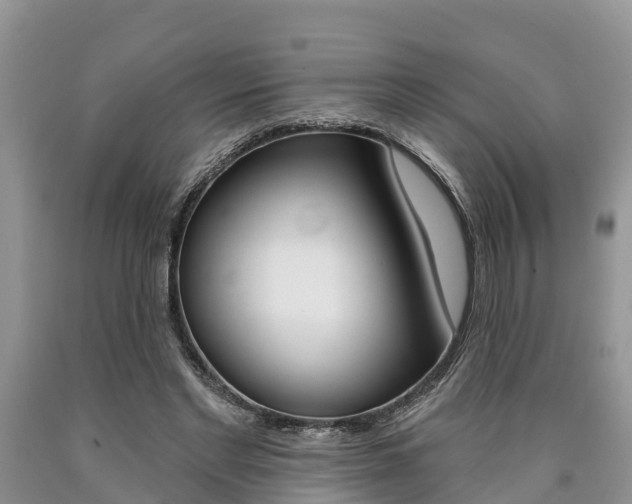 X0000090710493200707200954