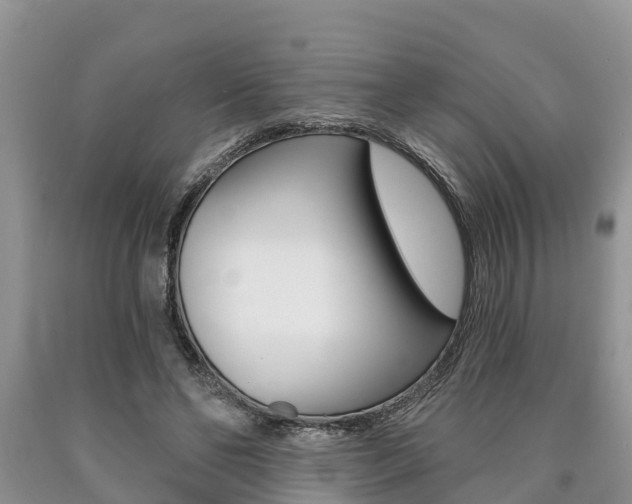 X0000090710494200707200954