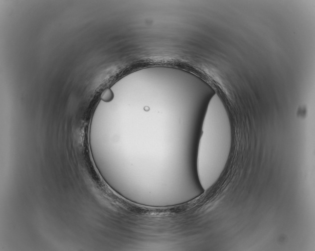 X0000090710495200707200954