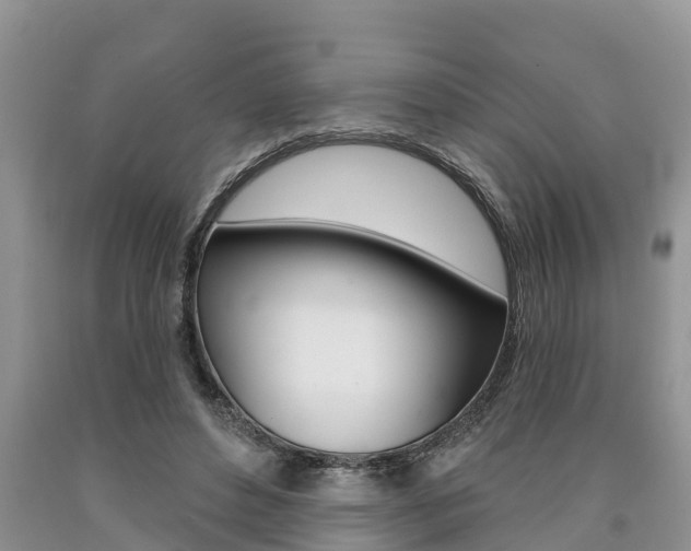 X0000090710496200707200954