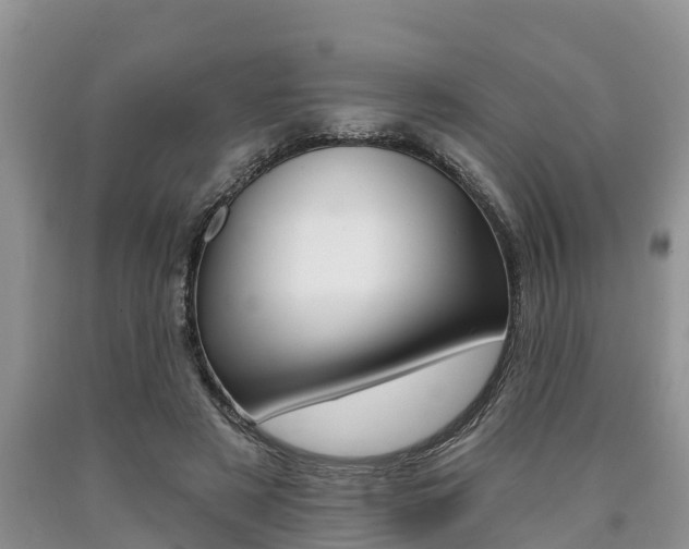 X0000090710497200707200954