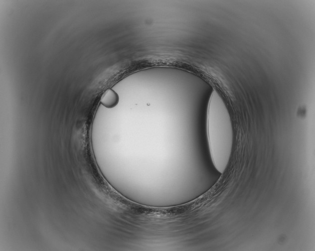 X0000090710498200707200954