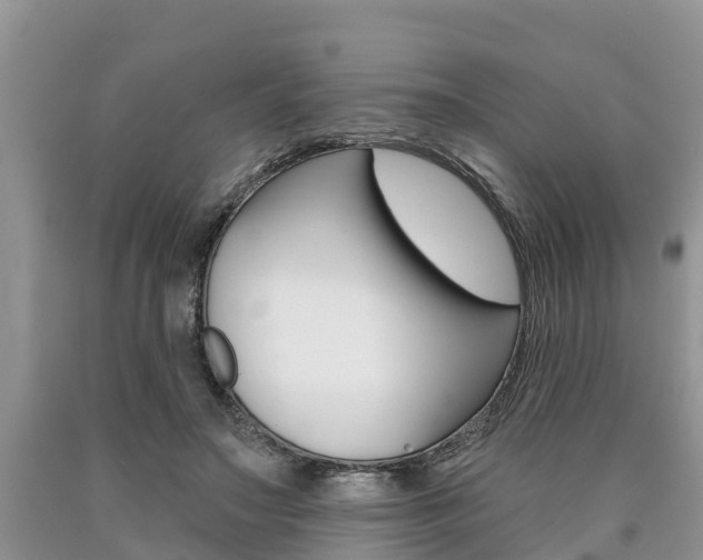 X0000090710499200707200954