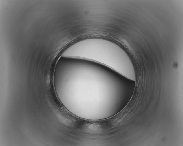 X0000090710500200707200954
