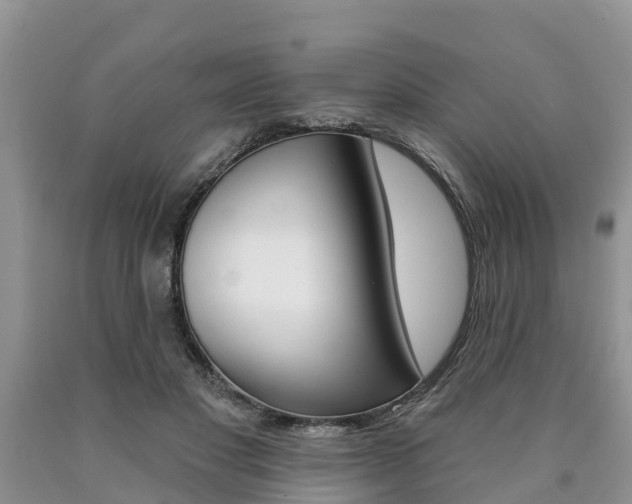 X0000090710501200707200954