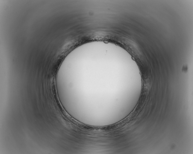 X0000090710503200707200954