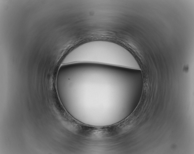 X0000090710504200707200954