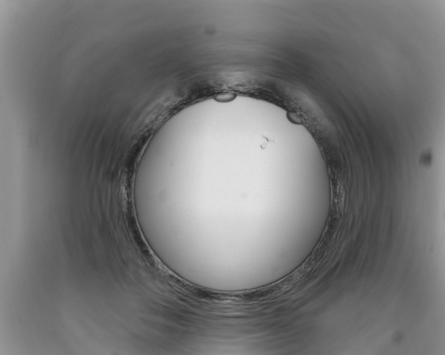 X0000090710506200707200954