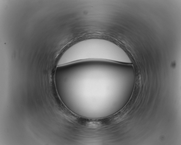 X0000090710508200707200954