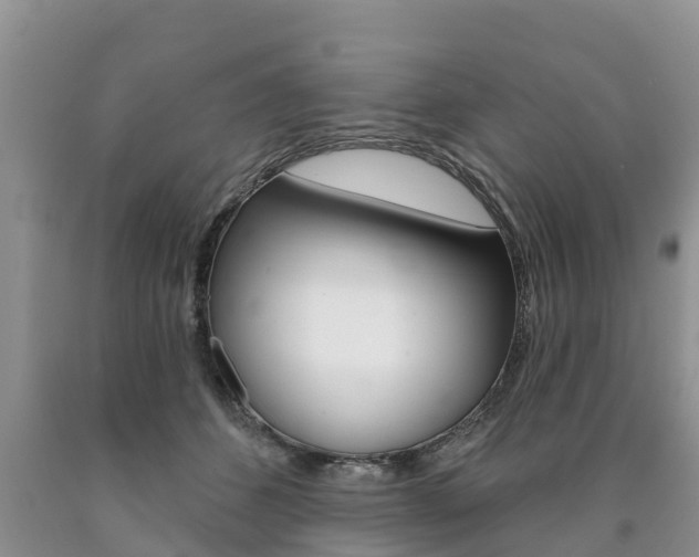 X0000090710512200707200954