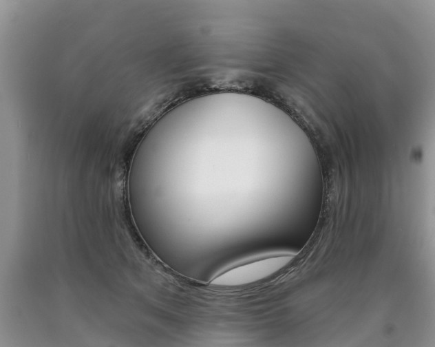 X0000090710513200707200954
