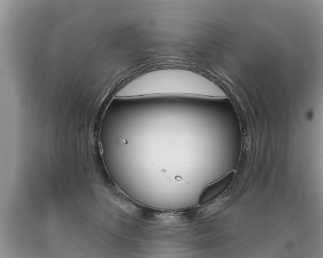 X0000090710516200707200954