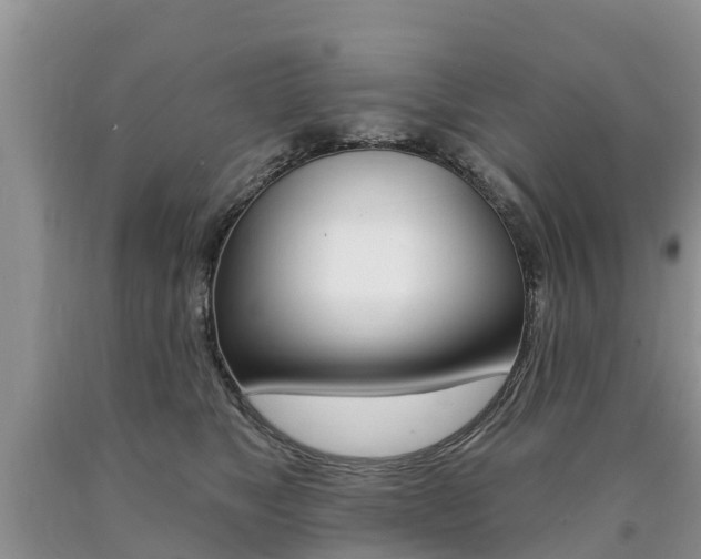 X0000090710517200707200954
