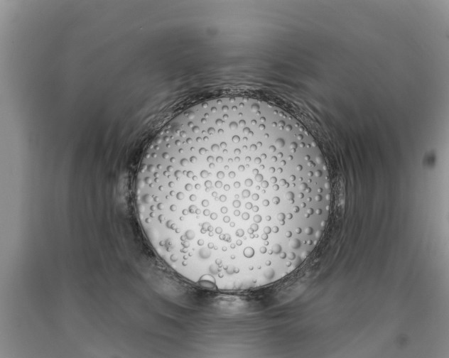 X0000090710519200707200954