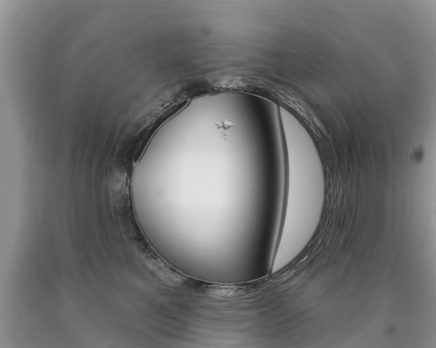 X0000090710521200707200954