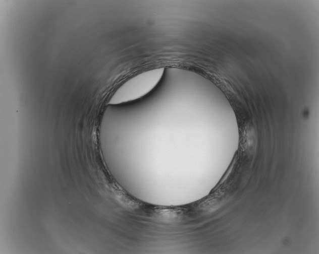 X0000090710522200707200954