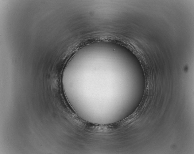 X0000090710524200707200954