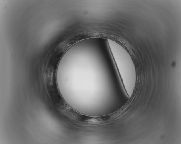 X0000090710525200707200954