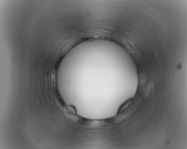 X0000090710527200707200954