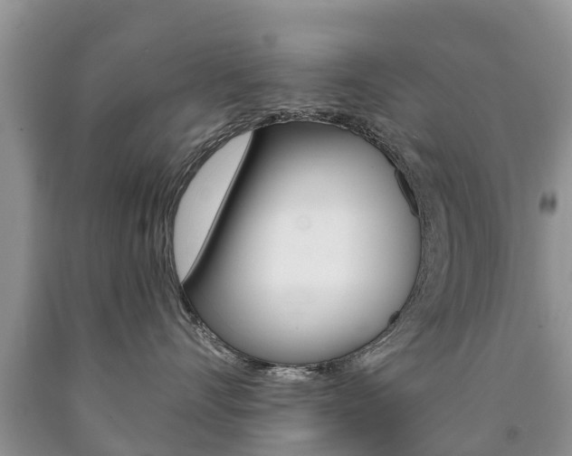 X0000090710528200707200954