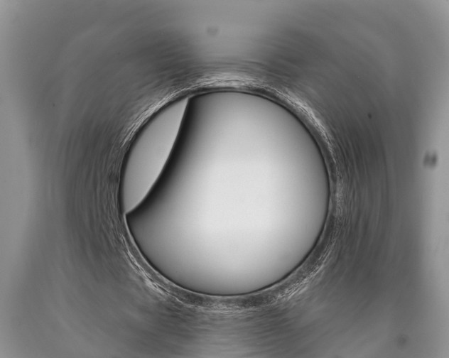 X0000090710529200707200953
