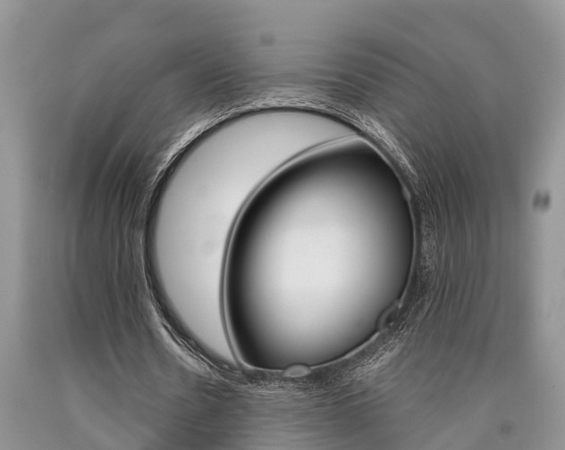 X0000090710530200707200953