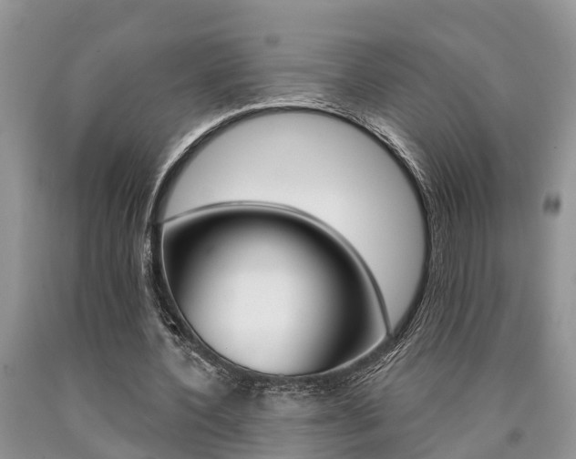 X0000090710532200707200953