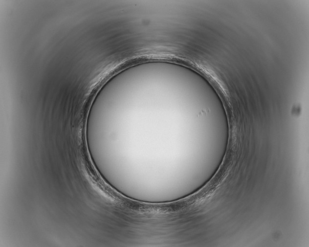 X0000090710533200707200953